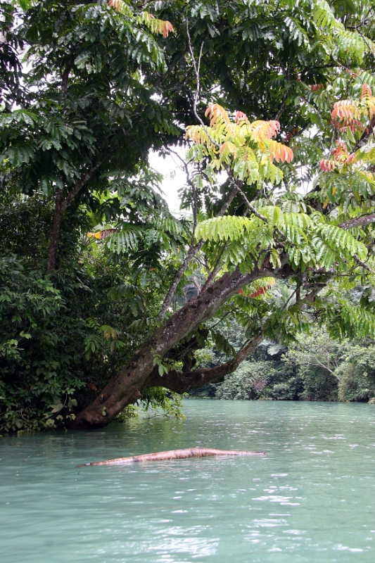 Green canyon, Java Pangandaran Indonesia 4.jpg - Indonesia Java Pangandaran. Green canyon